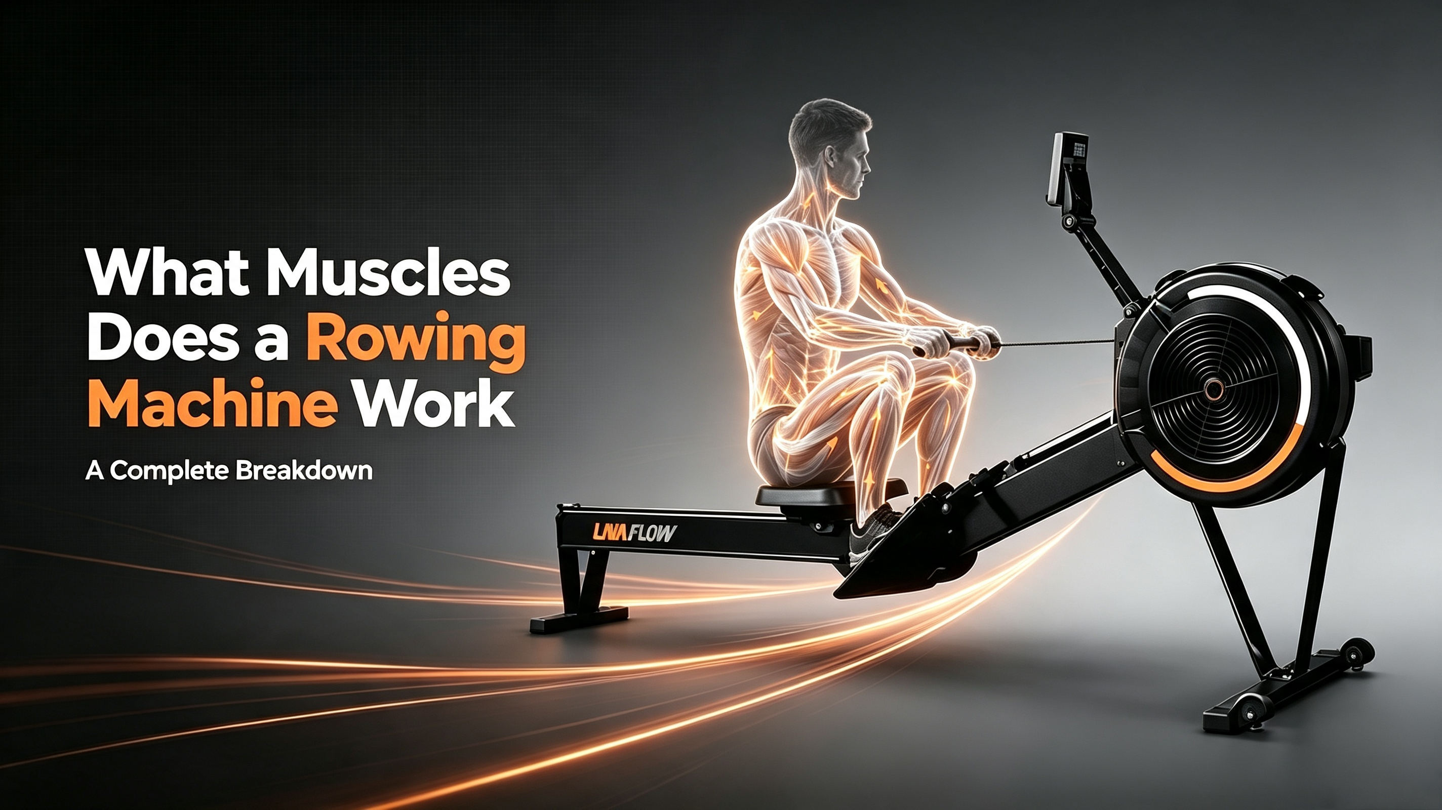 What Muscles Does a Rowing Machine Work: A Complete Breakdown