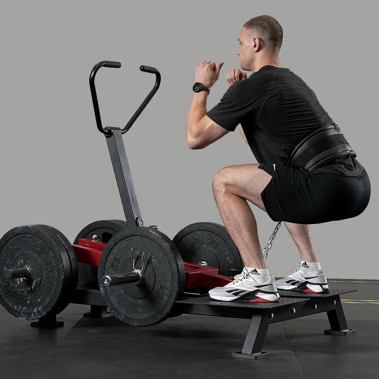 belt squat machine bs01-gmwd fitness