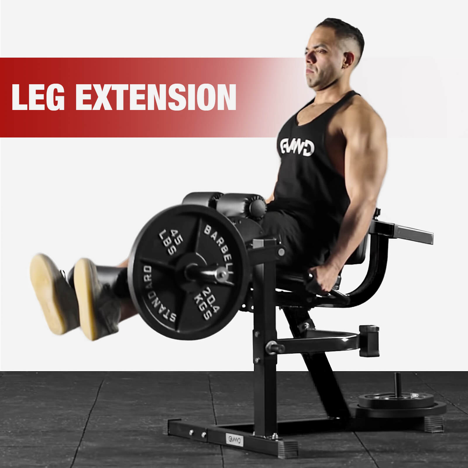 Economic Leg Extension and Curl Machine LE02