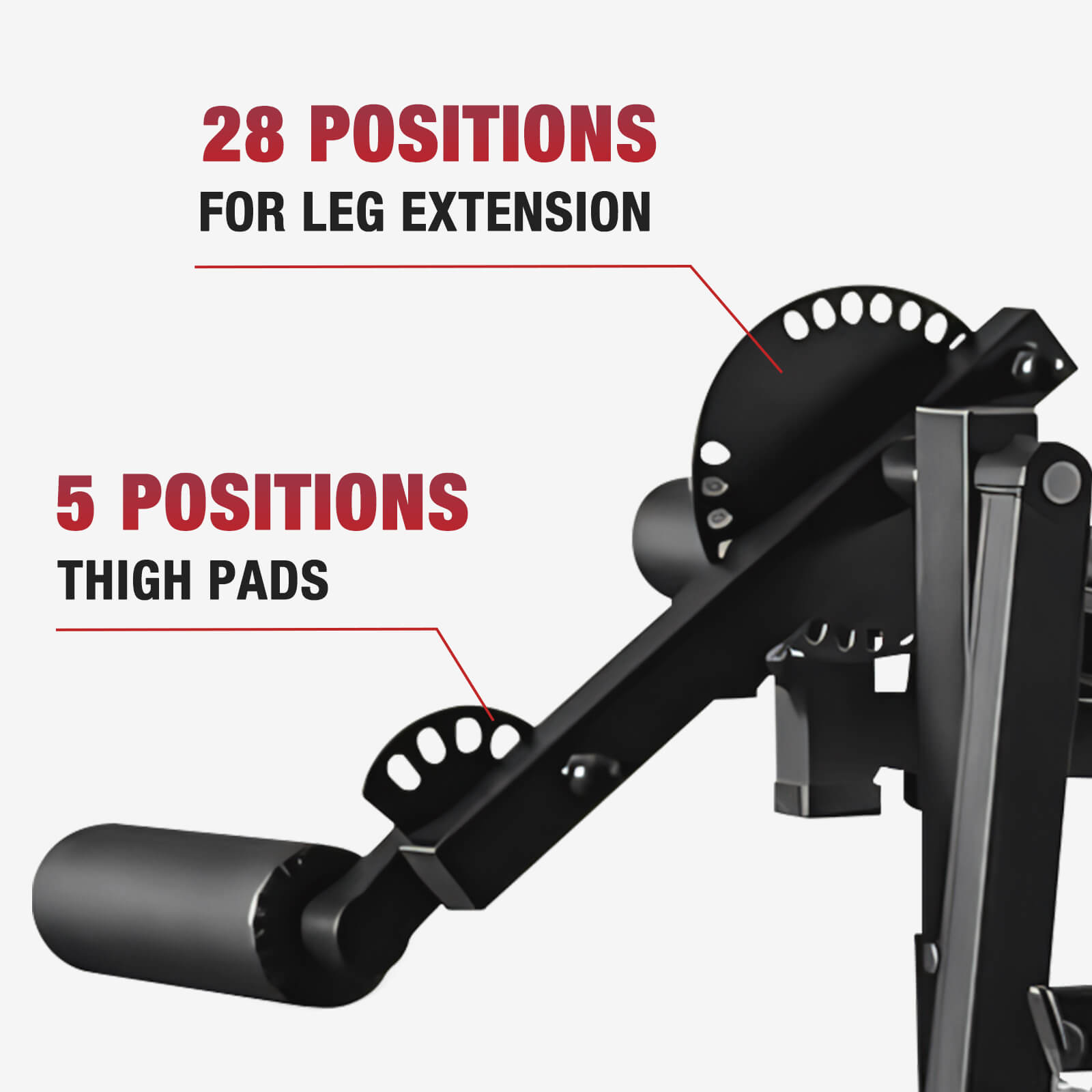 Economic Leg Extension and Curl Machine LE02