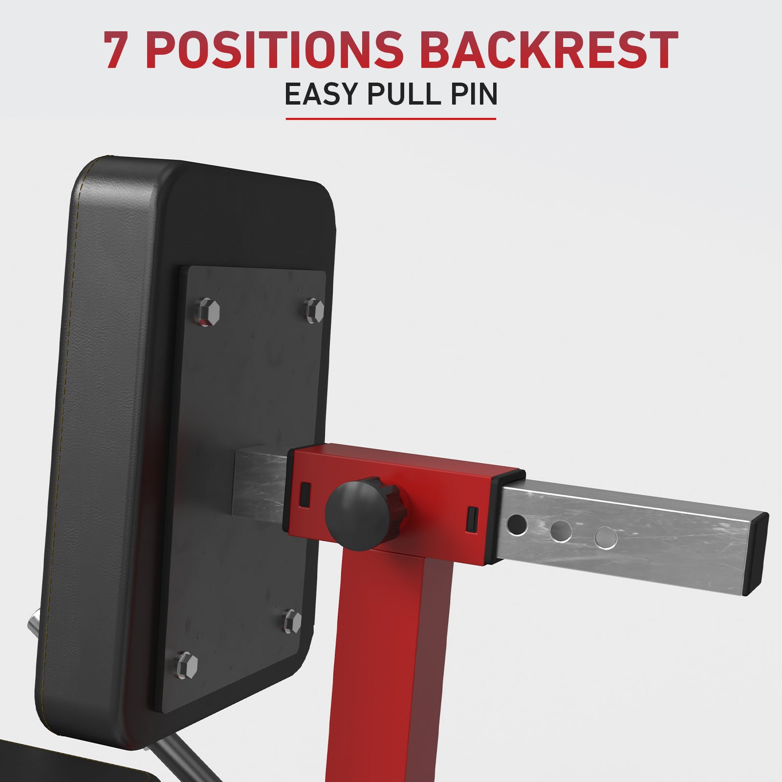 Leg Extension and Seated Leg Curl Machine LE01