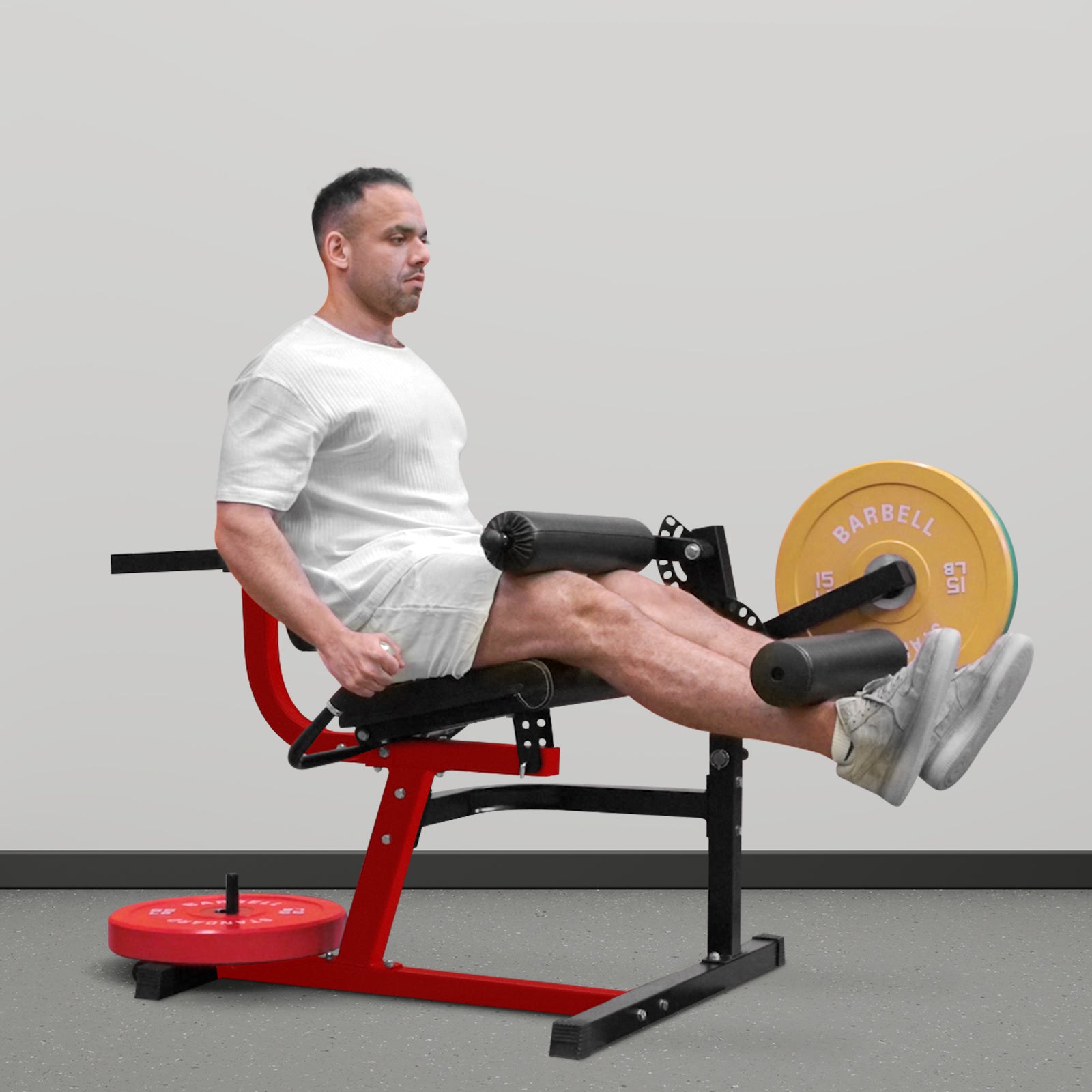 leg curl and extension machine le01 silver main 13-gmwd fitness