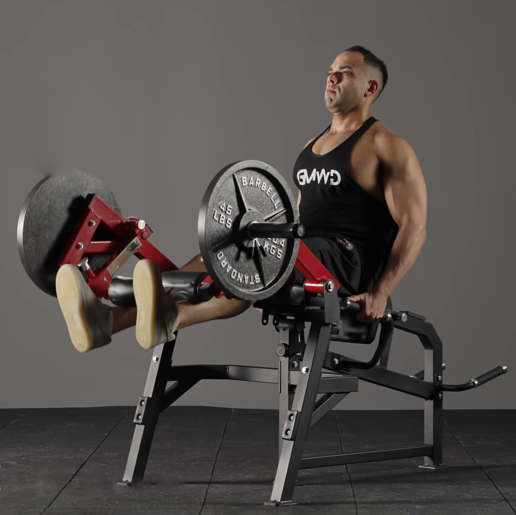 Isolated Leg Extension and Prone Leg Curl Machine LE03