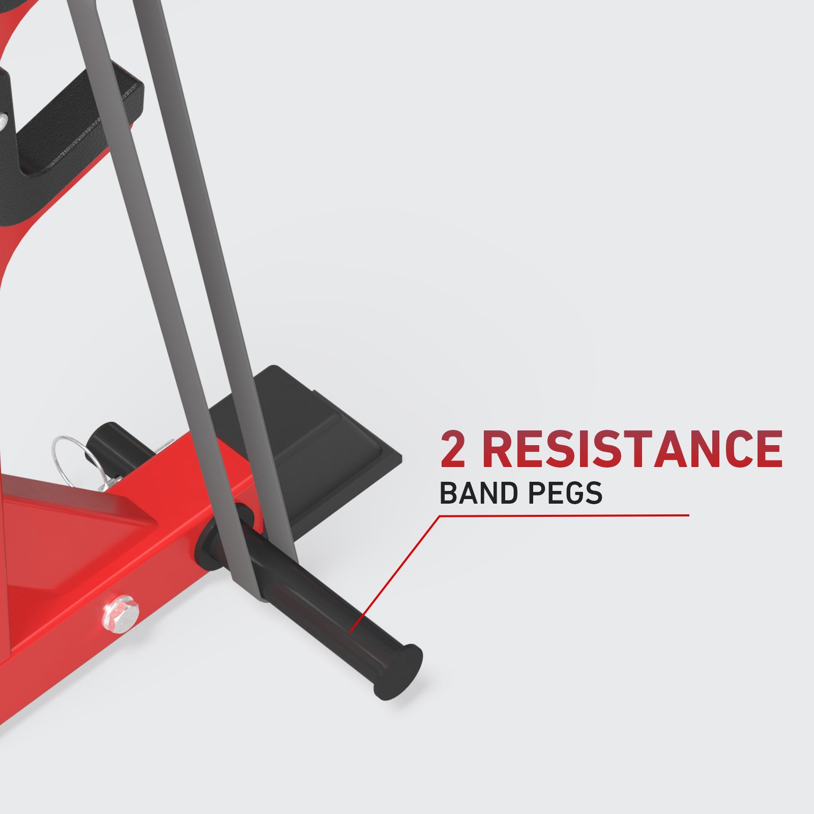Seal Row Bench for back muscle training and chest-supported rows