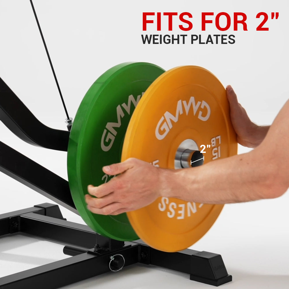 1:1 Cable Ratio Bicep Curl And Tricep Extension Machine WJ00