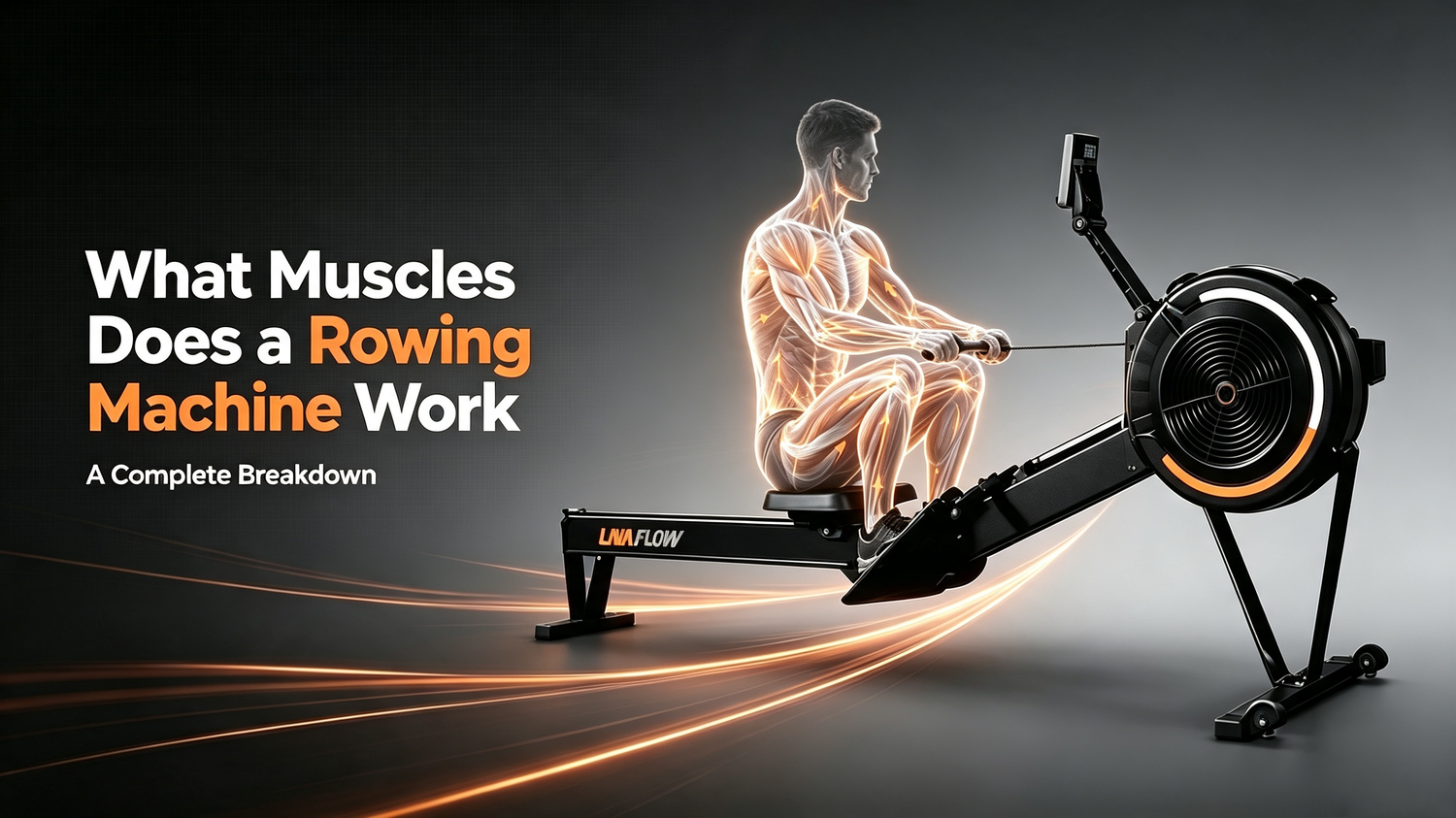 What Muscles Does a Rowing Machine Work: A Complete Breakdown