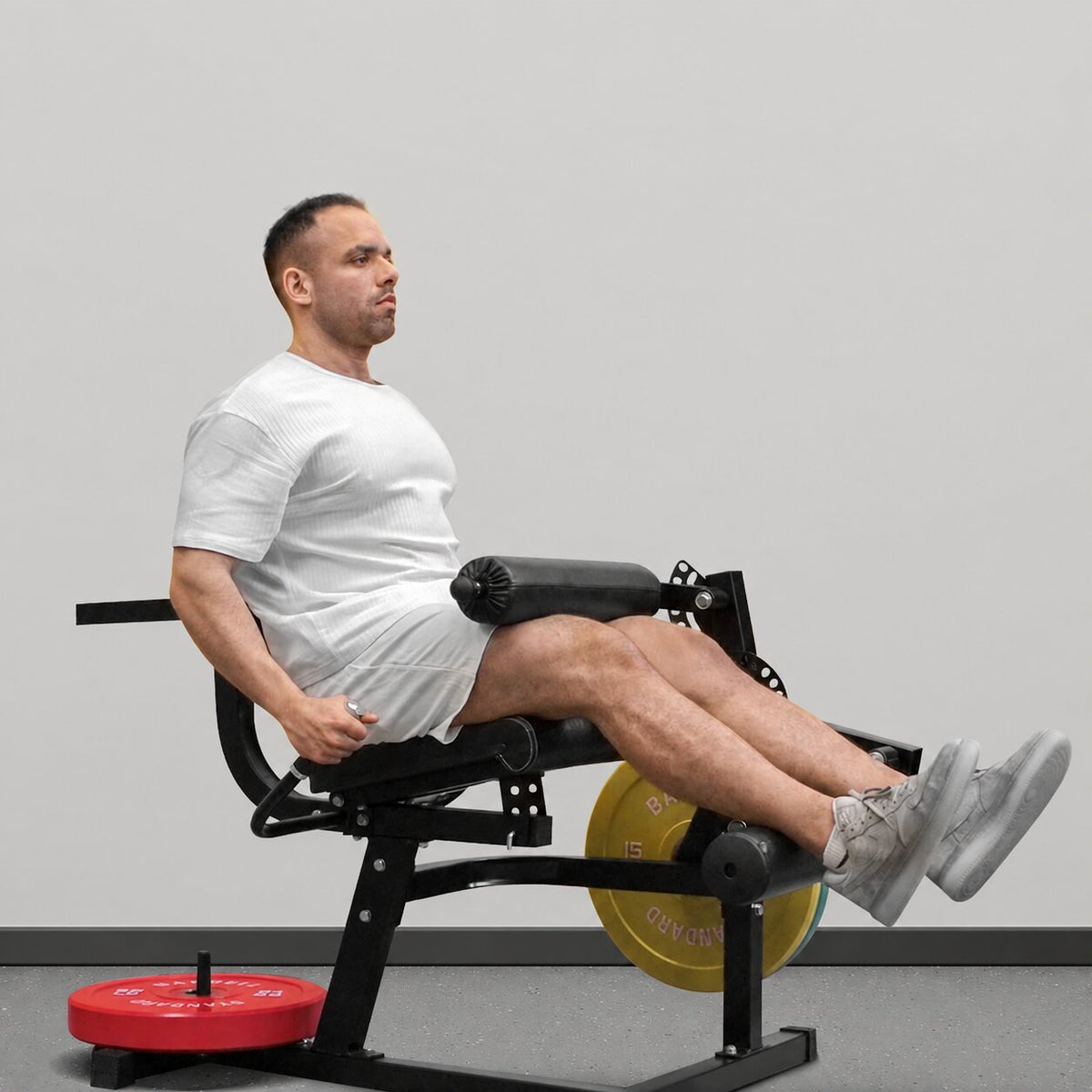 Máquina de extensión y flexión de piernas sentado LE01