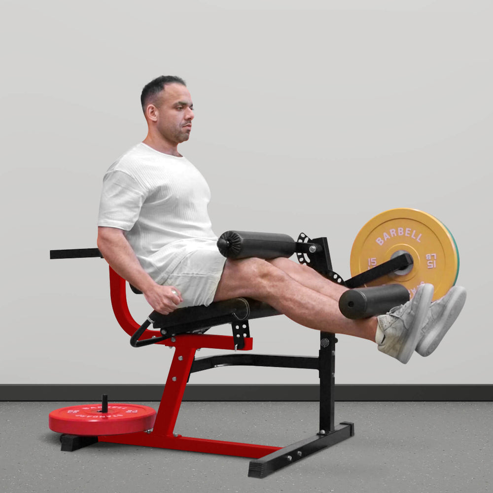 Leg Day Package, Hack Press& Leg Curl/Extension Machine - GMWD
