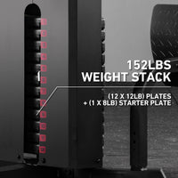 Animal Stack Multi Multi Gym Station with Weight Stack, Multi-Stack Gym Systems - GMWD