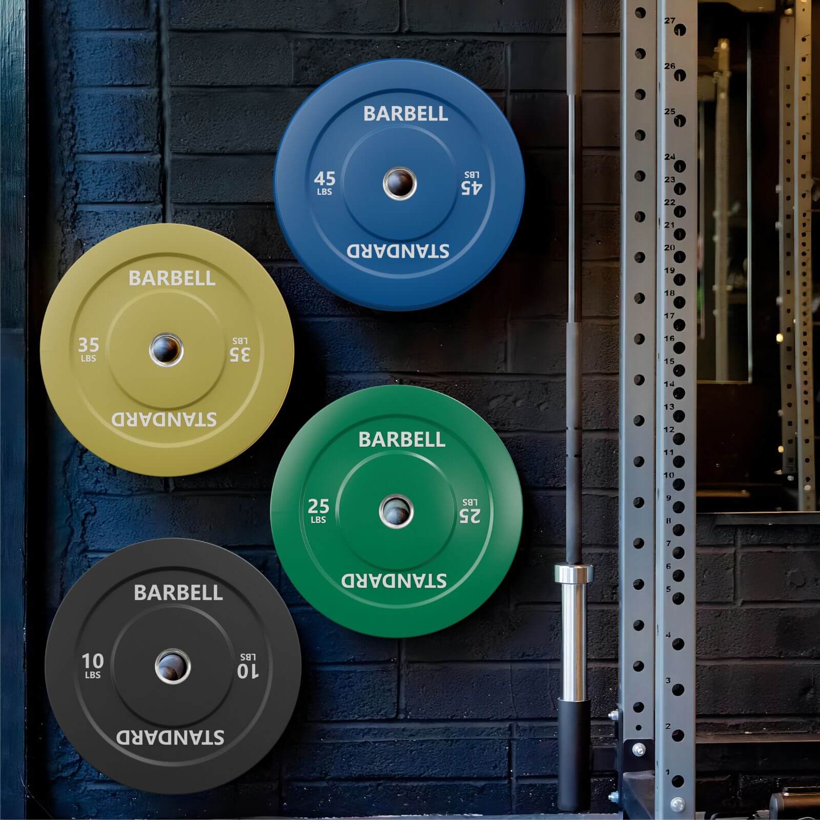 Color Bumper Plates