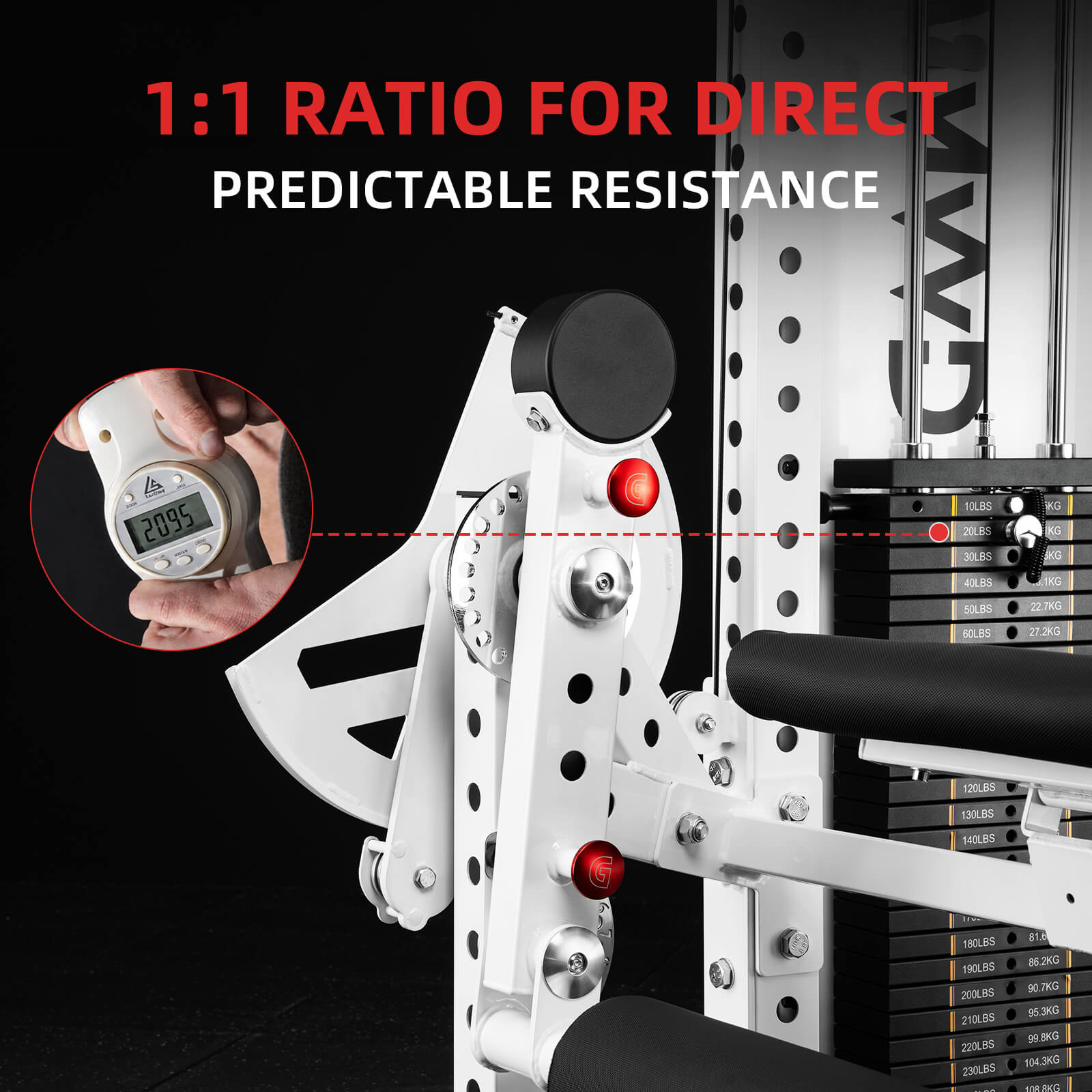 Máquina de extensión y flexión de pierna prono LE11 con selector de peso