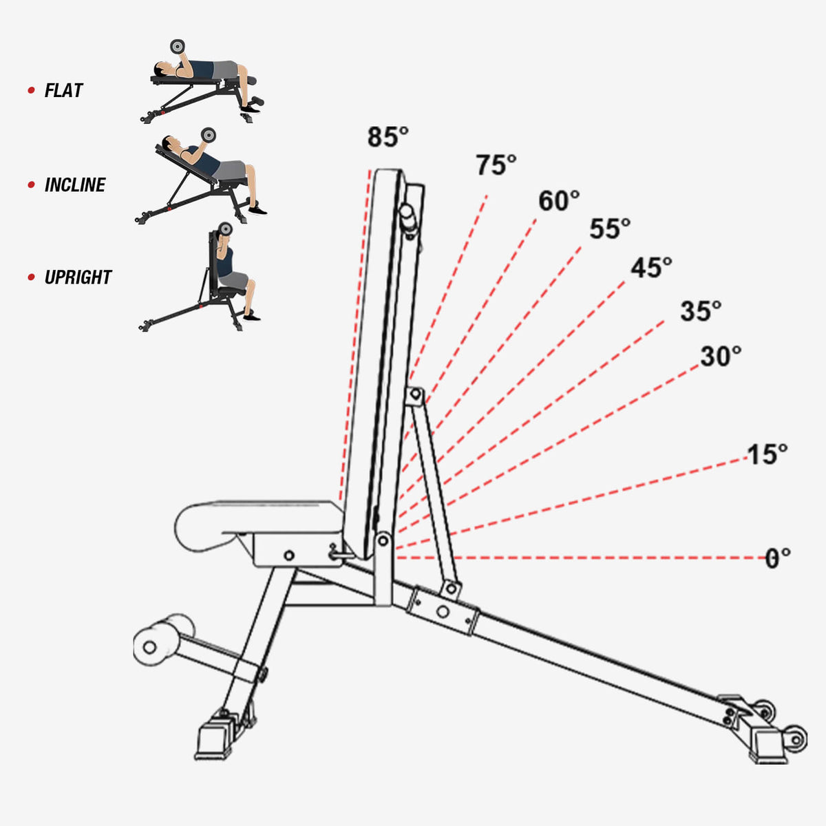 Adjustable FID Free Weight Dumbbell Bench - GMWD